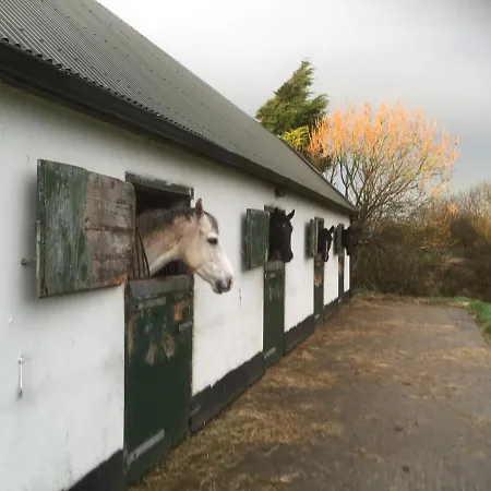 カントリーハウス Dromelihy House Stud *