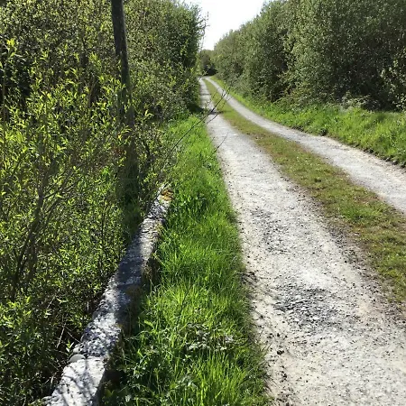 Dromelihy House Stud 컨트리하우스 둔백