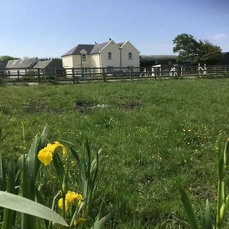 Dromelihy House Stud *