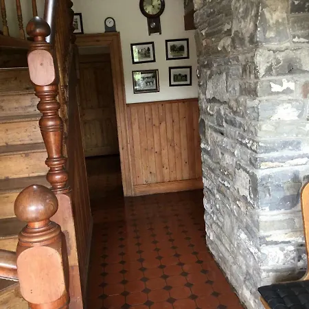 컨트리하우스 Dromelihy House Stud *