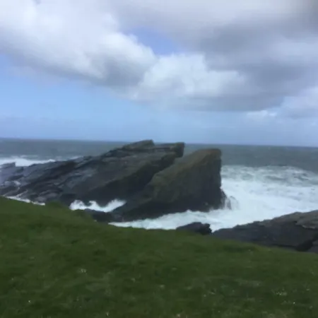 Dromelihy House Stud Kır Evi Doonbeg