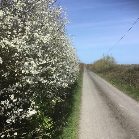 Dromelihy House Stud Εξοχικό σπίτι Doonbeg