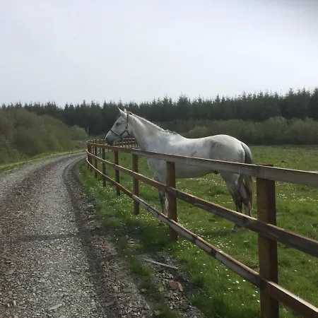 Dromelihy House Stud 컨트리하우스