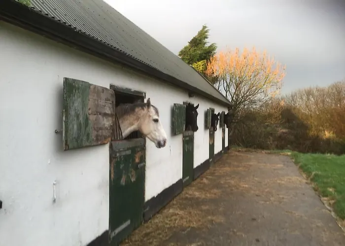 Hétvégi ház Dromelihy House Stud *