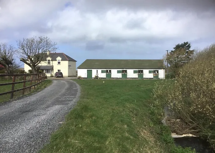 Dromelihy House Stud Doonbeg