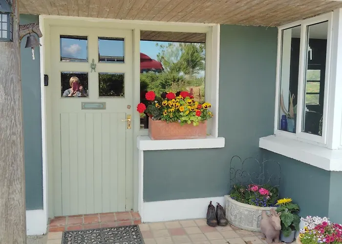 Dromelihy House Stud Doonbeg