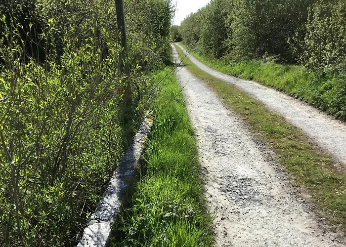 Dromelihy House Stud Hétvégi ház Doonbeg