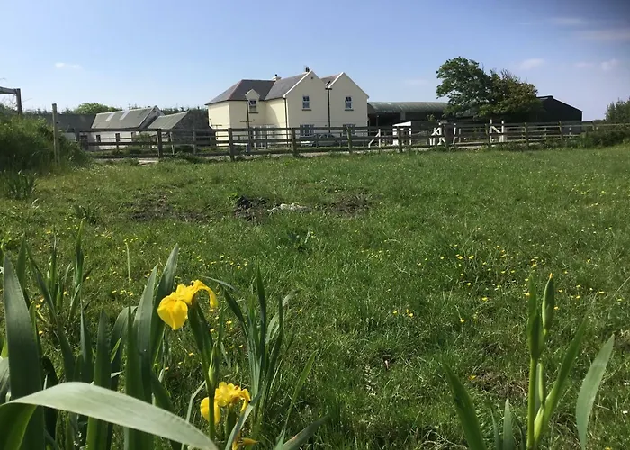 Dromelihy House Stud *