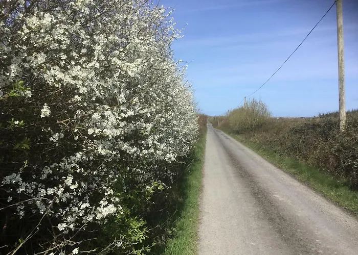 Dromelihy House Stud Hétvégi ház Doonbeg