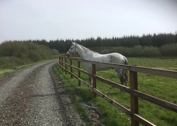 Dromelihy House Stud Hétvégi ház