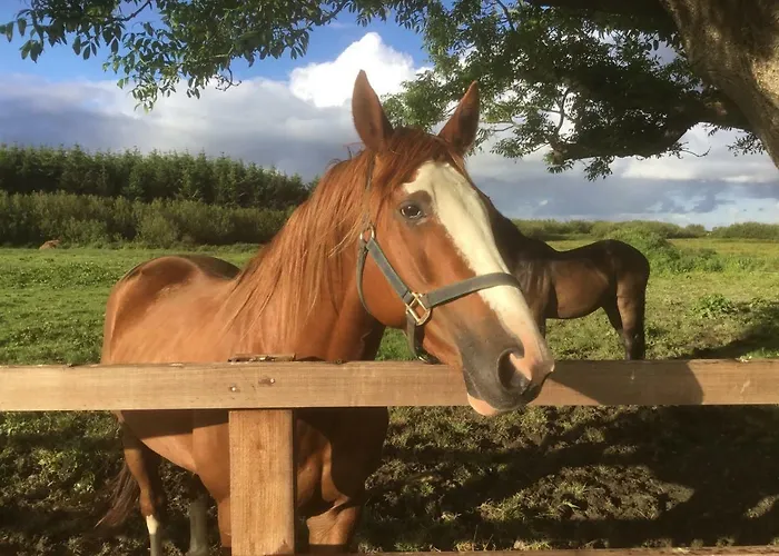 Dromelihy House Stud Hétvégi ház Doonbeg